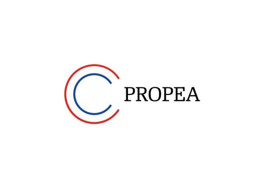 Czech Business support project (Czech)