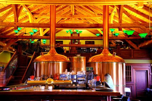 Beer brewery, restaurant concept (Czech) 